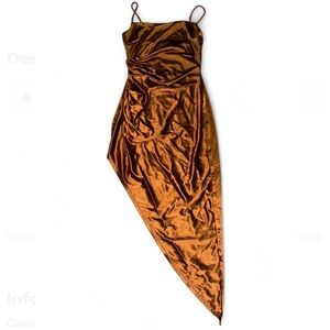 Elegant Brown Velvet Dress